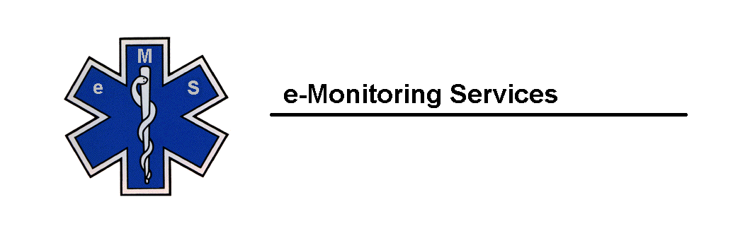 e-Monitoring Services